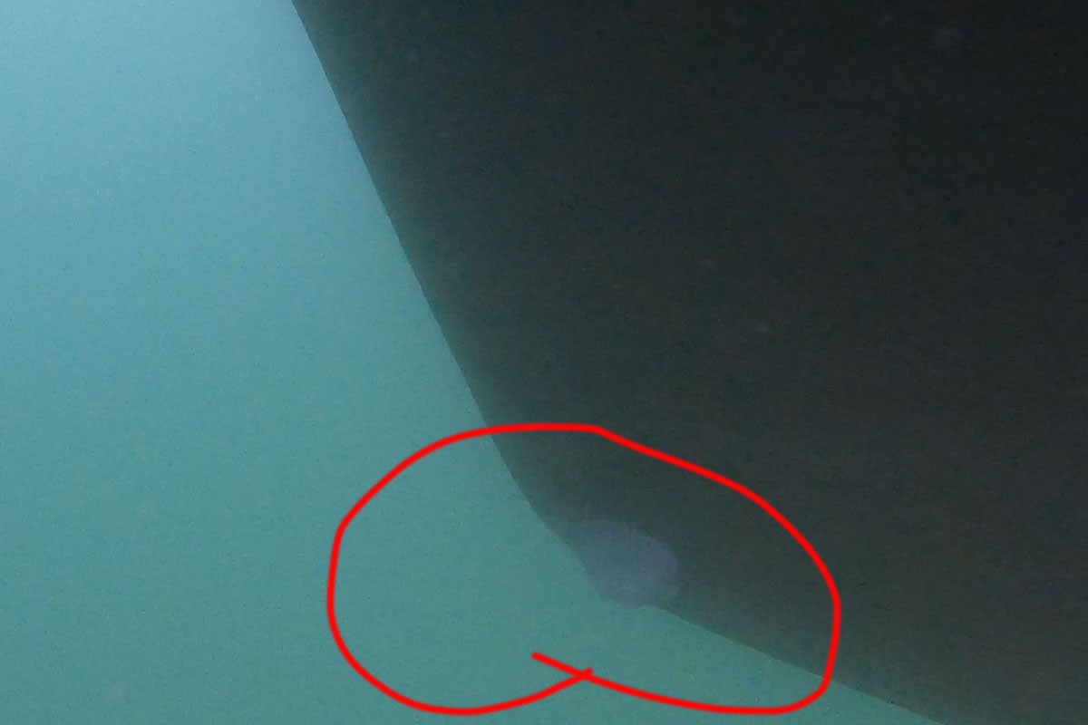 Stacks Image 9079