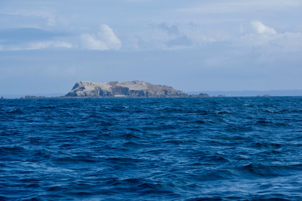 Stacks Image 9635