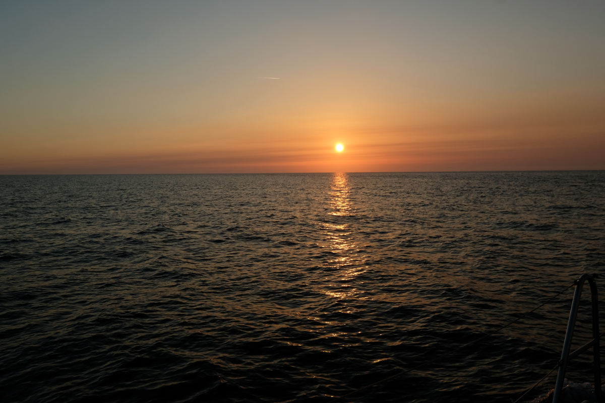 Stacks Image 9920
