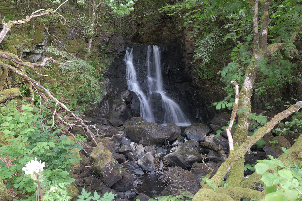 Stacks Image 5786