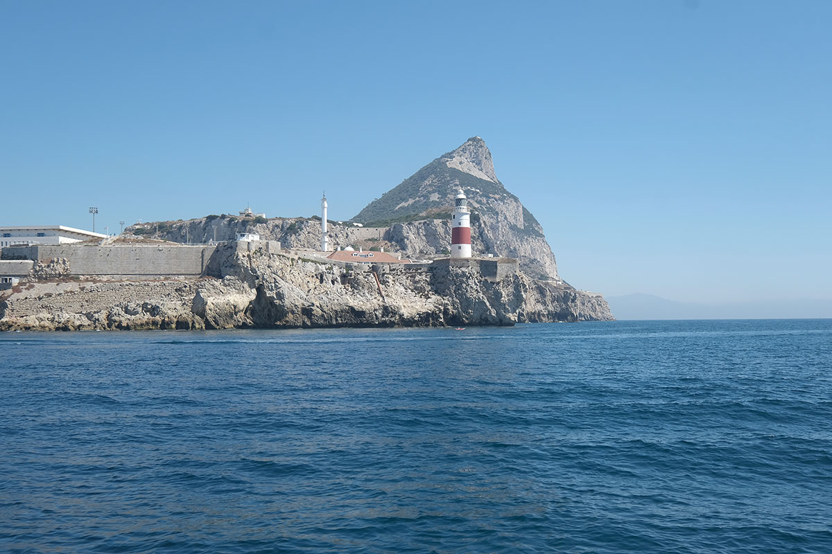 Stacks Image 7176