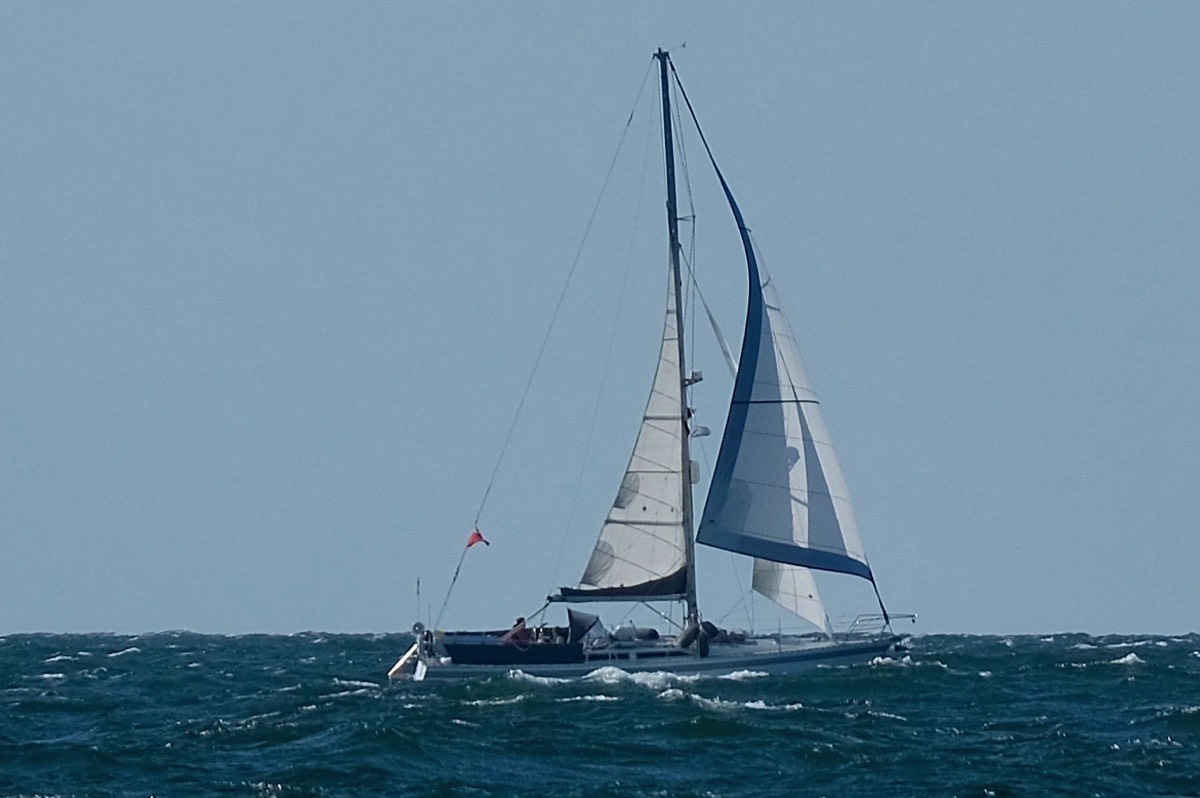 Stacks Image 1574